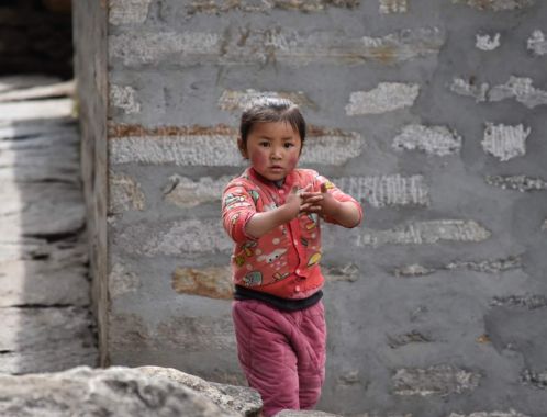 C:\fakepath\DSC 0033 1