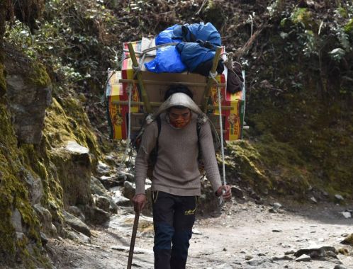 C:\fakepath\DSC 0051 1