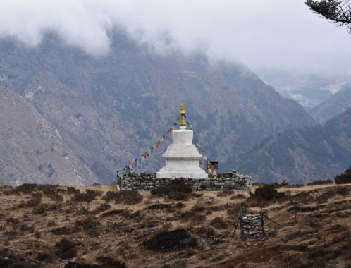 C:\fakepath\DSC 0144 1