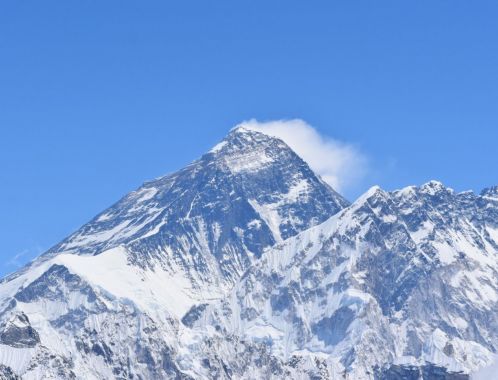 C:\fakepath\DSC 0169 2