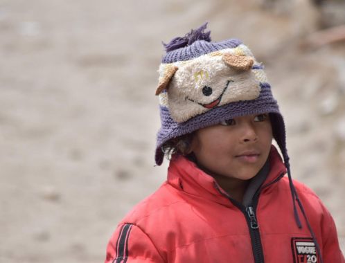 C:\fakepath\DSC 0210 1