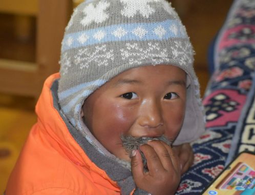 C:\fakepath\DSC 0110 1