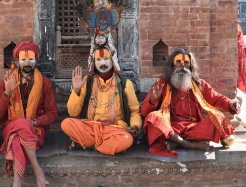 C:\fakepath\DSC 0433 3