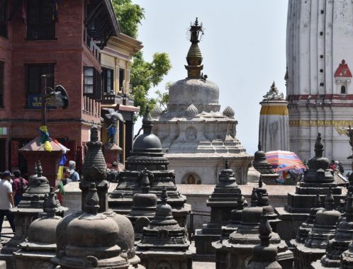 C:\fakepath\DSC 0472 2