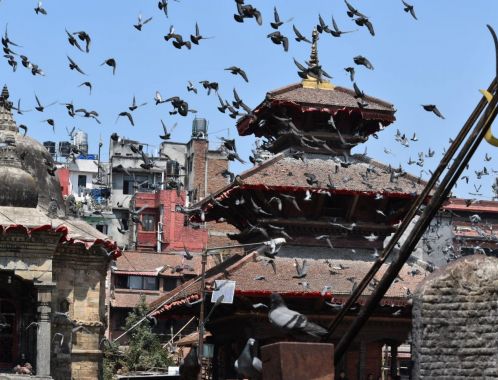 C:\fakepath\DSC 0566 2