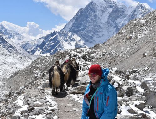 C:\fakepath\DSC 0764 1