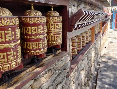 C:\fakepath\DSC 0851