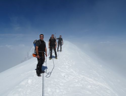 IMG 0347