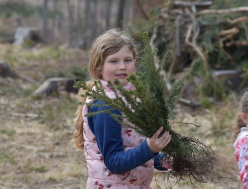 C:\fakepath\DSC 0163