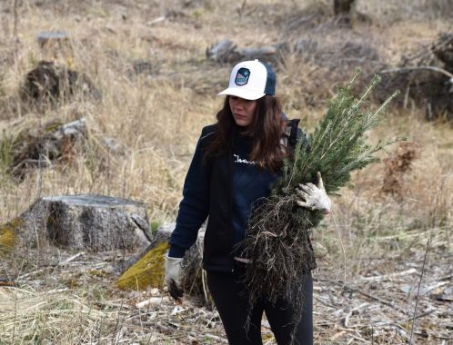 C:\fakepath\DSC 0121