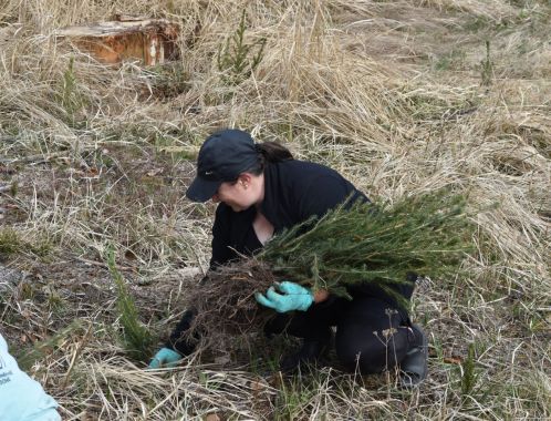 C:\fakepath\DSC 0157