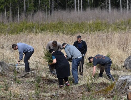 C:\fakepath\DSC 0128