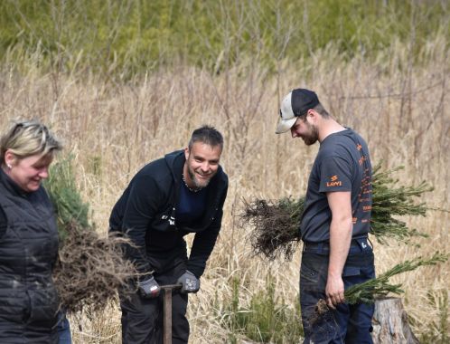 C:\fakepath\DSC 0133